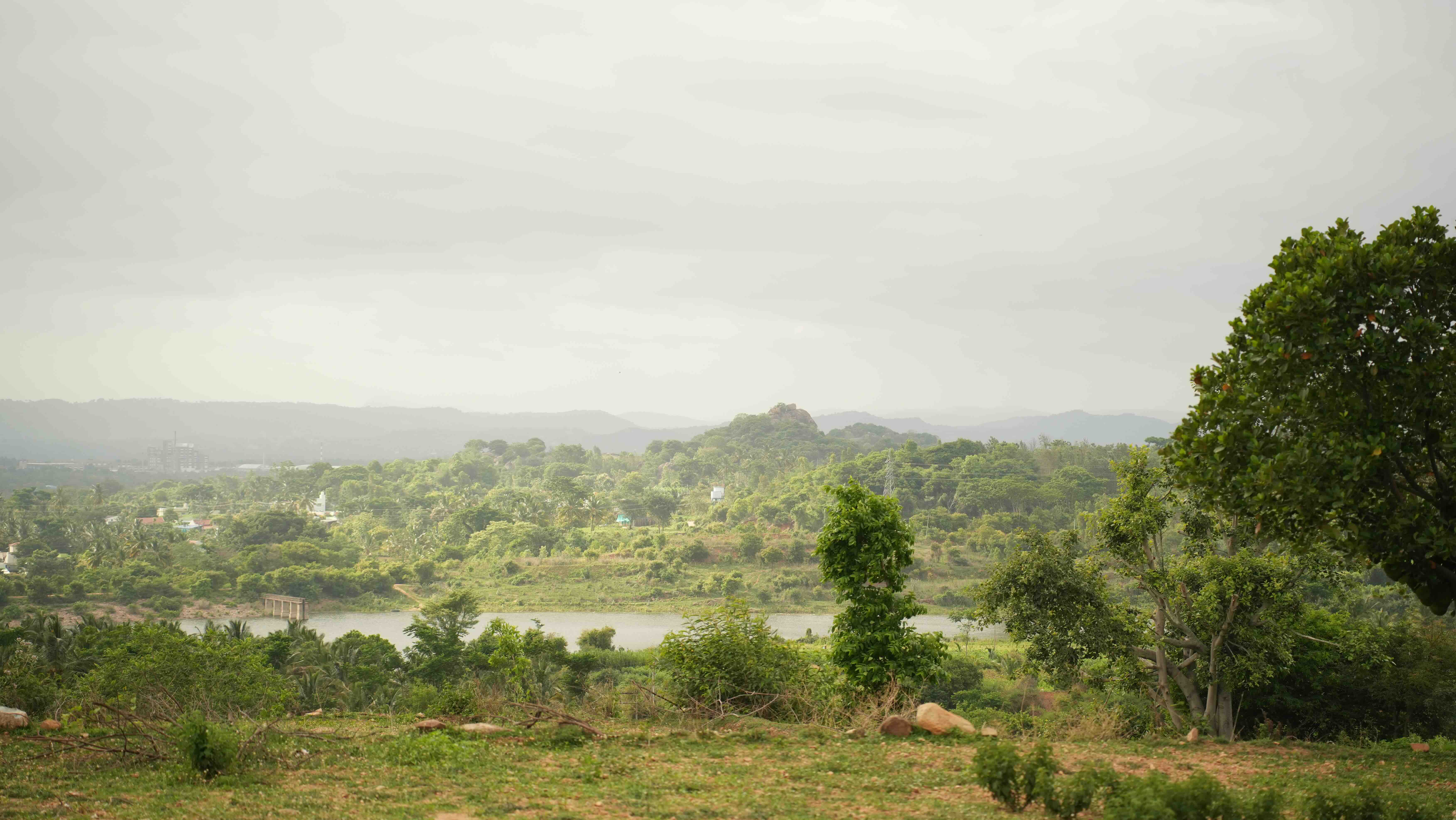 Nature view
